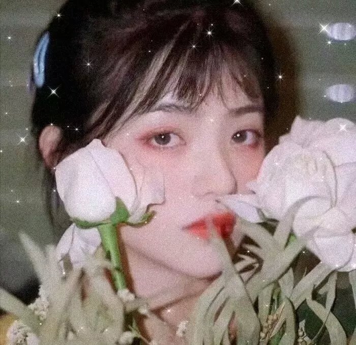 北游记之仙魂下凡